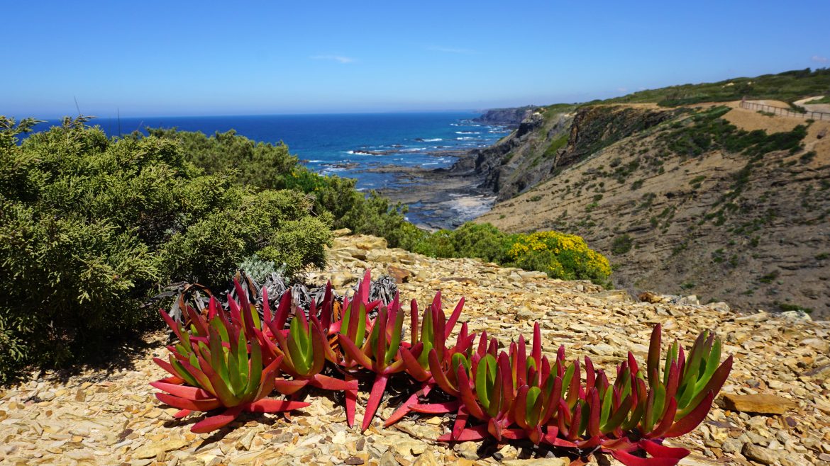 Algarve - nature - bonheurs
