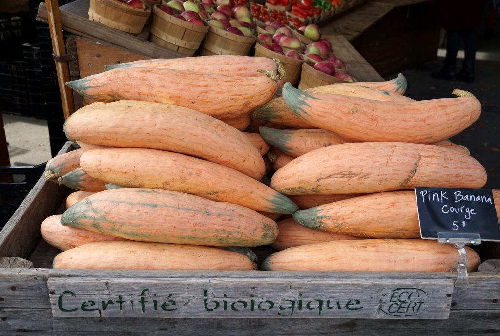 Montréal - Jean Talon