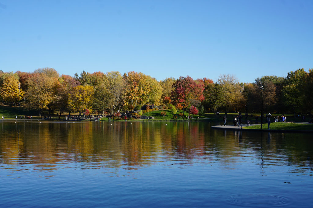 Montréal - Mont Royal