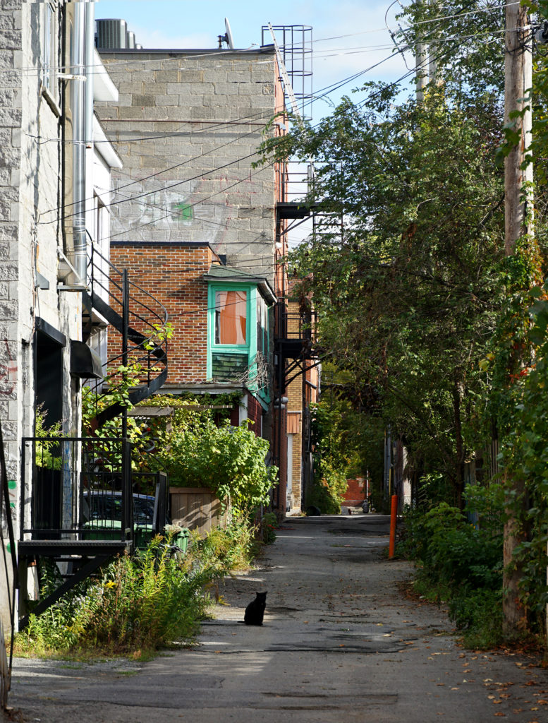Montréal - Back Street
