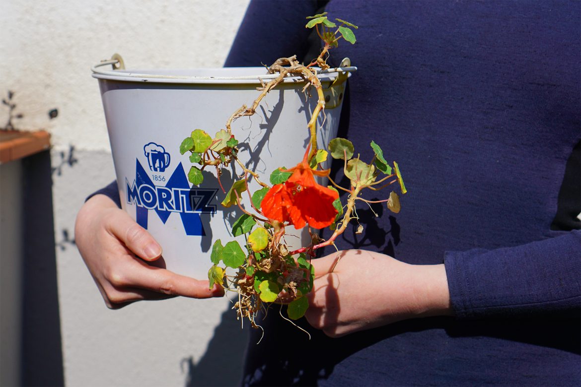 jardinage-zéro-déchet